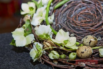 ProMaisonShow – апрельский дебют состоялся!