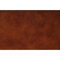 ������ ��������� ����