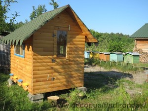 Пчеды , мед ? &mdash; Підлісний В.Я.