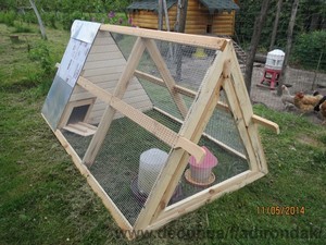 Курятник &mdash; Підлісний В.Я.