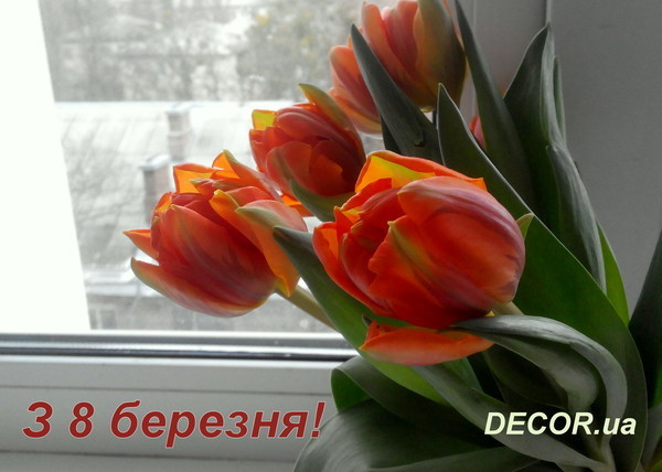 DECOR.ua вітає чарівних дам з 8 березня!