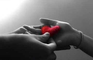 Заказывая жалюзи, тканевые роллеты, бамбуковые шторы в Броварах, в Киеве, по всей Украине Вы помогаете детям участвуя в благотворительной акции