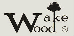 Wake wood 2009. The wake woods-treselectrica (2022) фото. Пробуждающийся лес (2009). Пробуждающий лес. Пробуждающийся лес (2009).