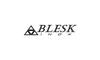 Логотип компании Blesk