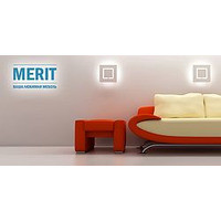 Merit