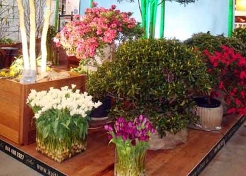 В марте пройдет главная строительная выставка Украины – Іnterbudexpo 2011!