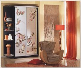 Шкаф-купе &mdash; Mebel Stars