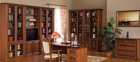 Домашняя библиотека, кабинет.