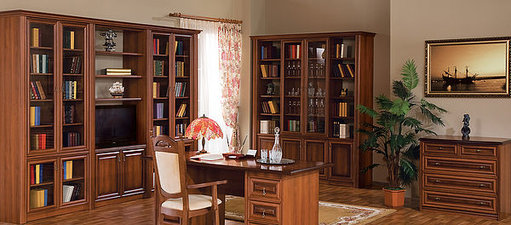 Домашняя библиотека, кабинет. &mdash; Днепропетровский мебельный комбинат, ПАО