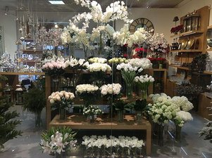 Фото витрины нашего магазина в ТРЦ Гулливер &mdash; Прудникова