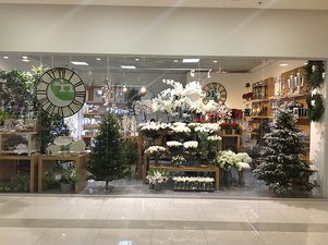 Наш магазин в центре Киева в ТРЦ Гулливер &mdash; Прудникова