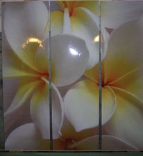 Фотомолекулярная печать на стекле, эффект объема, эффект мазка &mdash; ДІОНІС