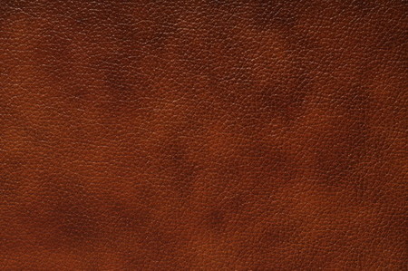 Мебельная кожа m8022109 ESQUIMAU