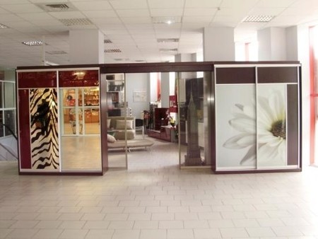 Шкаф-купе на заказ `Ант`