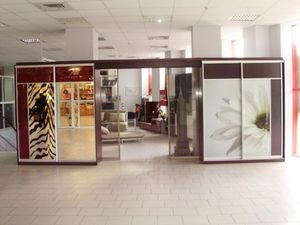 Шкаф-купе на заказ `Ант` &mdash; Ант-интерьер