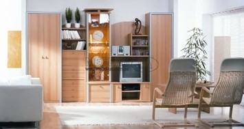 Cтенка в гостинную Ромео бук серый (номер 492)