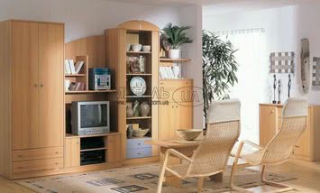 Cтенка в гостинную Юля бук (номер 502)